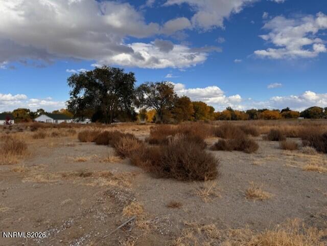 785 Wetland View Fallon, NV 89406 - Photo 2 of 2 a view of a dry yard with wooden fence