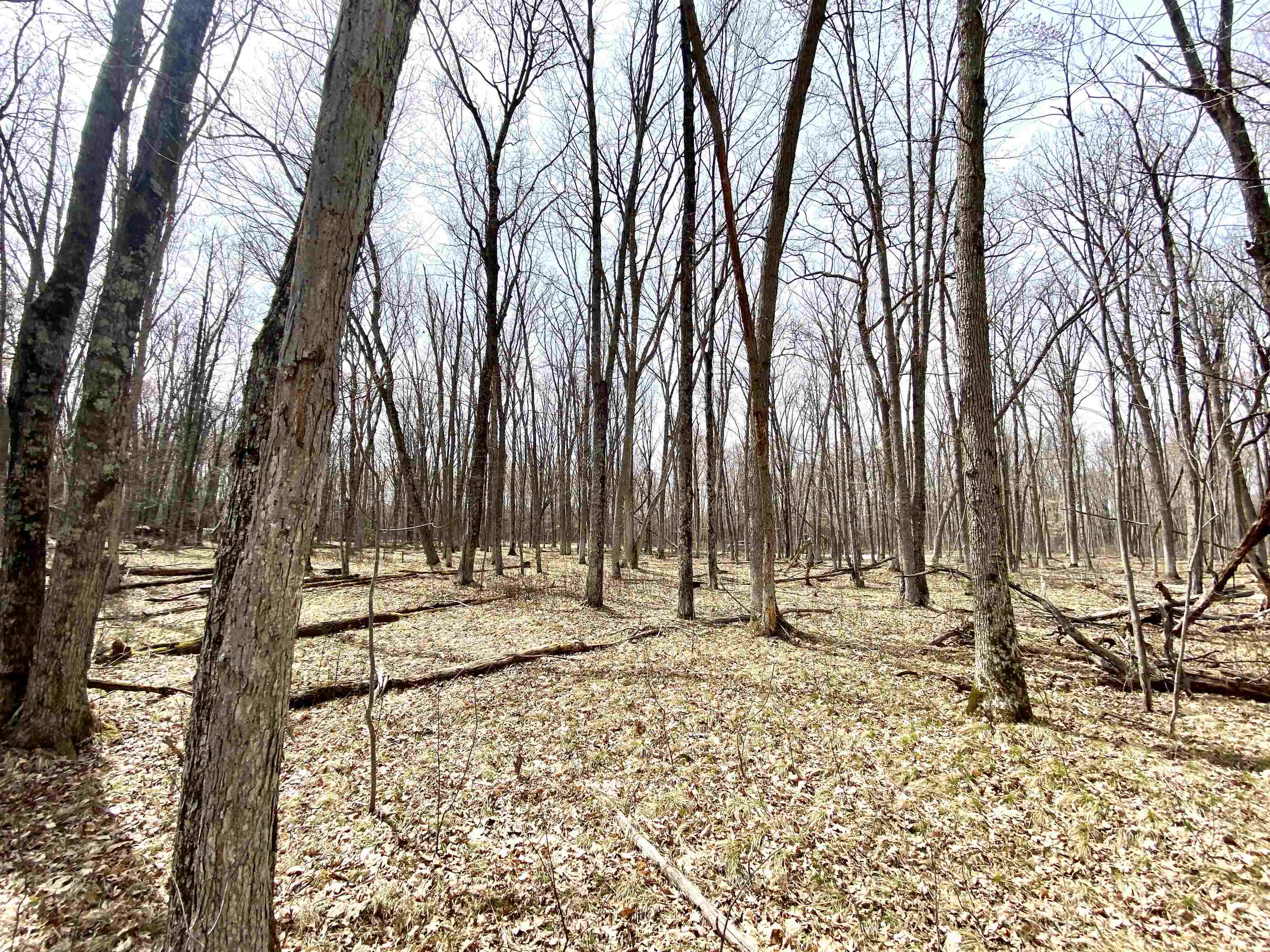 Hydro Court, Unit 7 Crivitz, WI 54114 - Photo 11 of 12