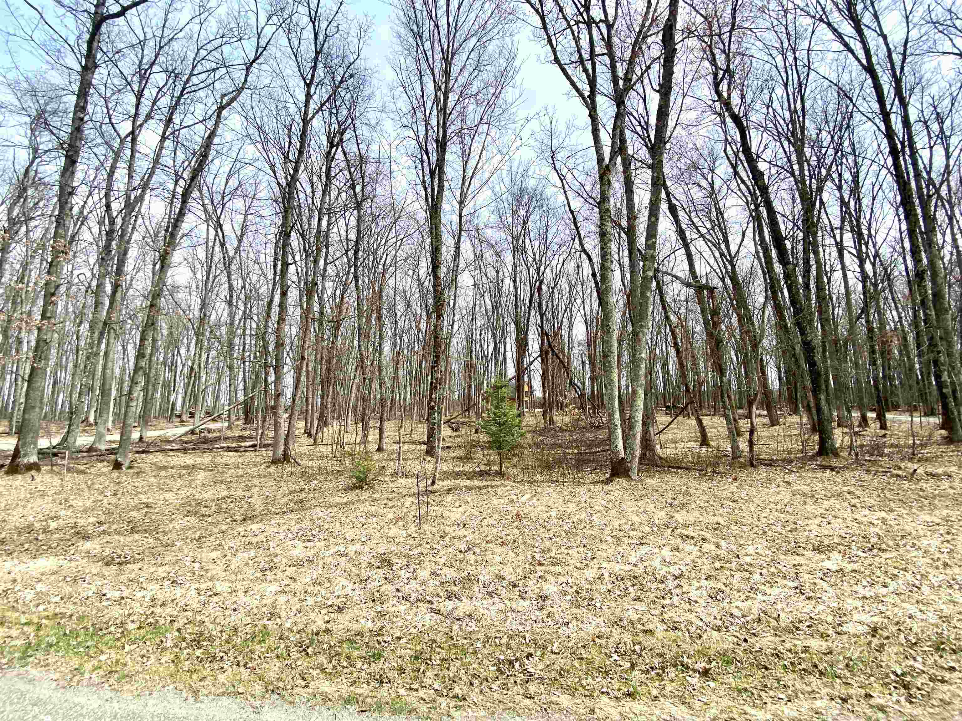 Hydro Court, Unit 7 Crivitz, WI 54114 - Photo 6 of 12