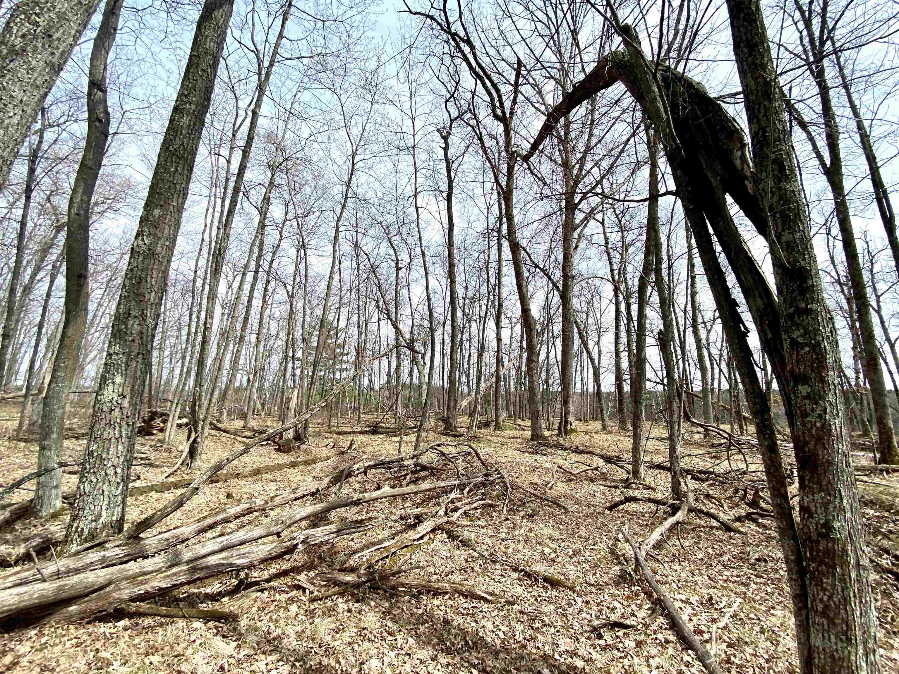 Hydro Court, Unit 7 Crivitz, WI 54114 - Photo 8 of 12