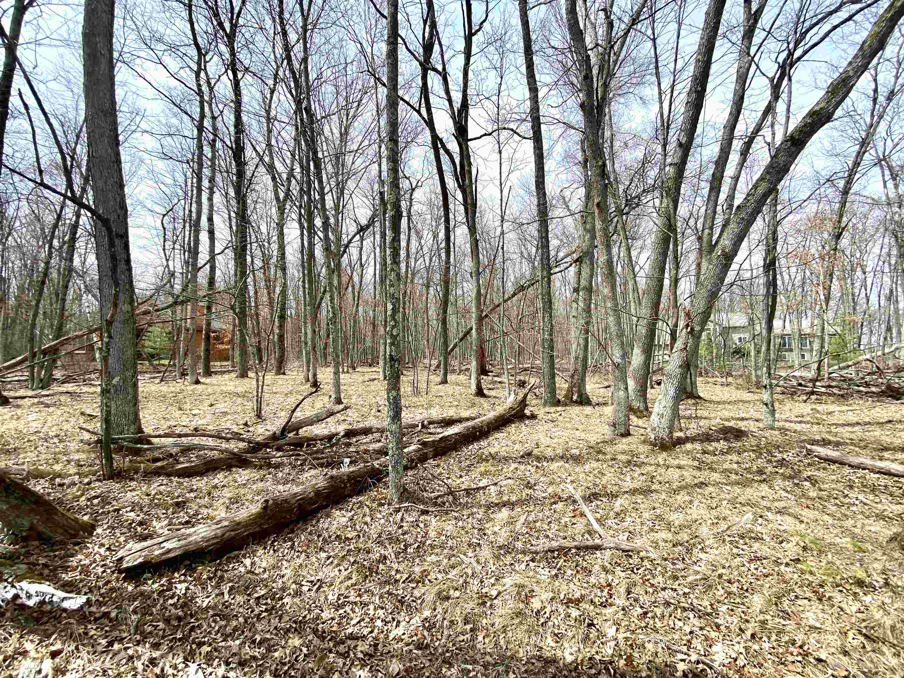 Hydro Court, Unit 7 Crivitz, WI 54114 - Photo 9 of 12