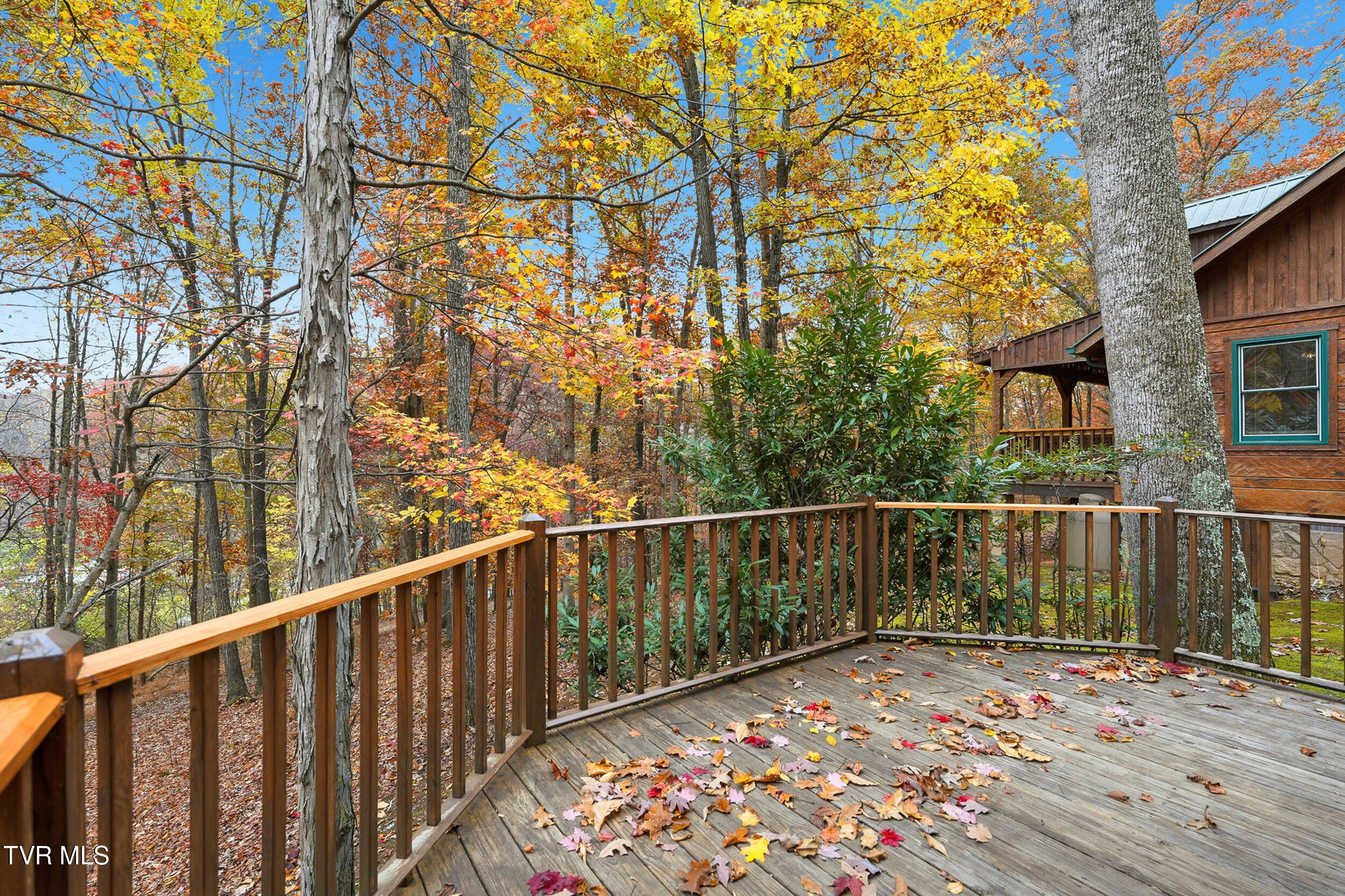 220 Old Orchard Road Castlewood, VA 24224 - Photo 24 of 41 34_dsc02496