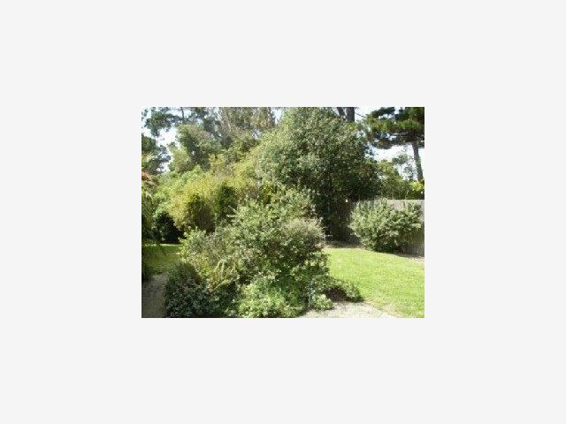 2846 Congress Road Pebble Beach, CA 93953 - Photo 9 of 9 Gallery Image 9