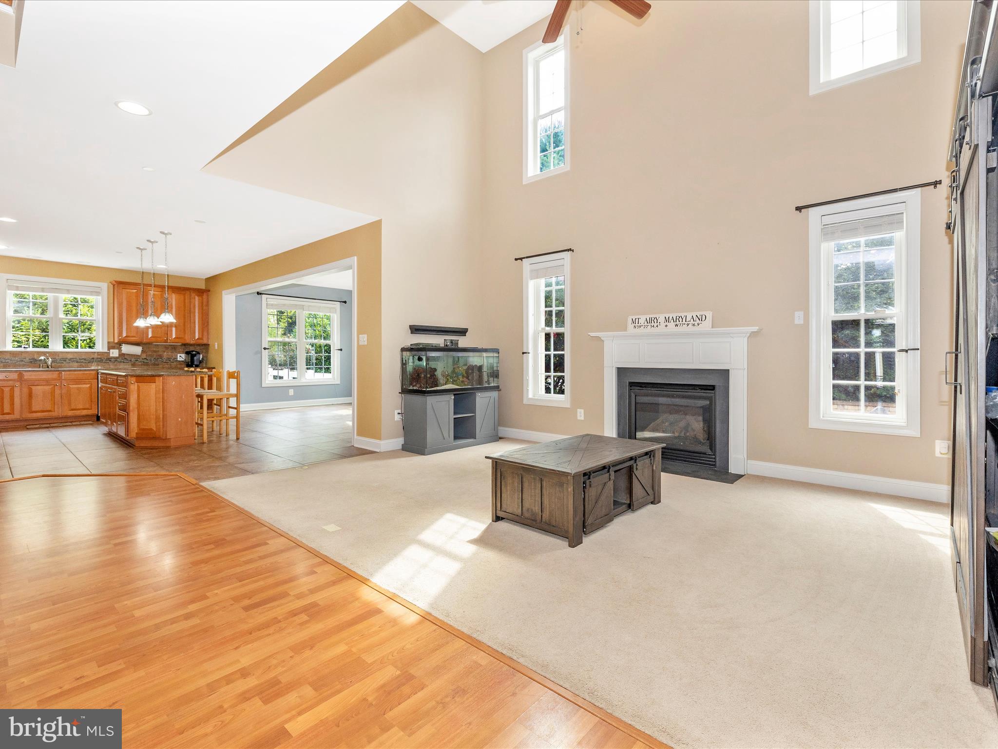 303 Saddleback Trail Mount Airy, MD 21771 - Photo 12 of 65 Family Room