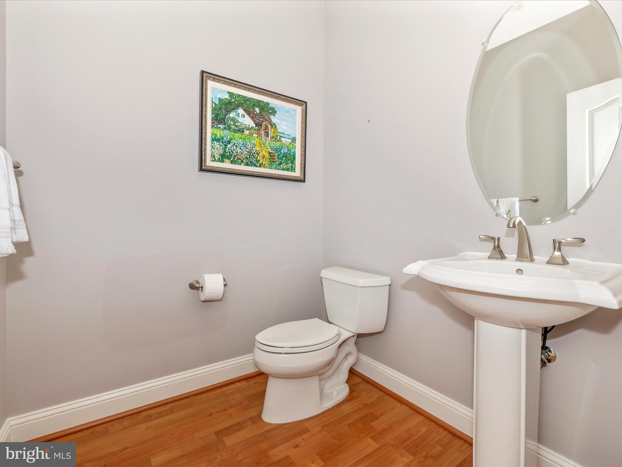 303 Saddleback Trail Mount Airy, MD 21771 - Photo 25 of 65 Powder Room