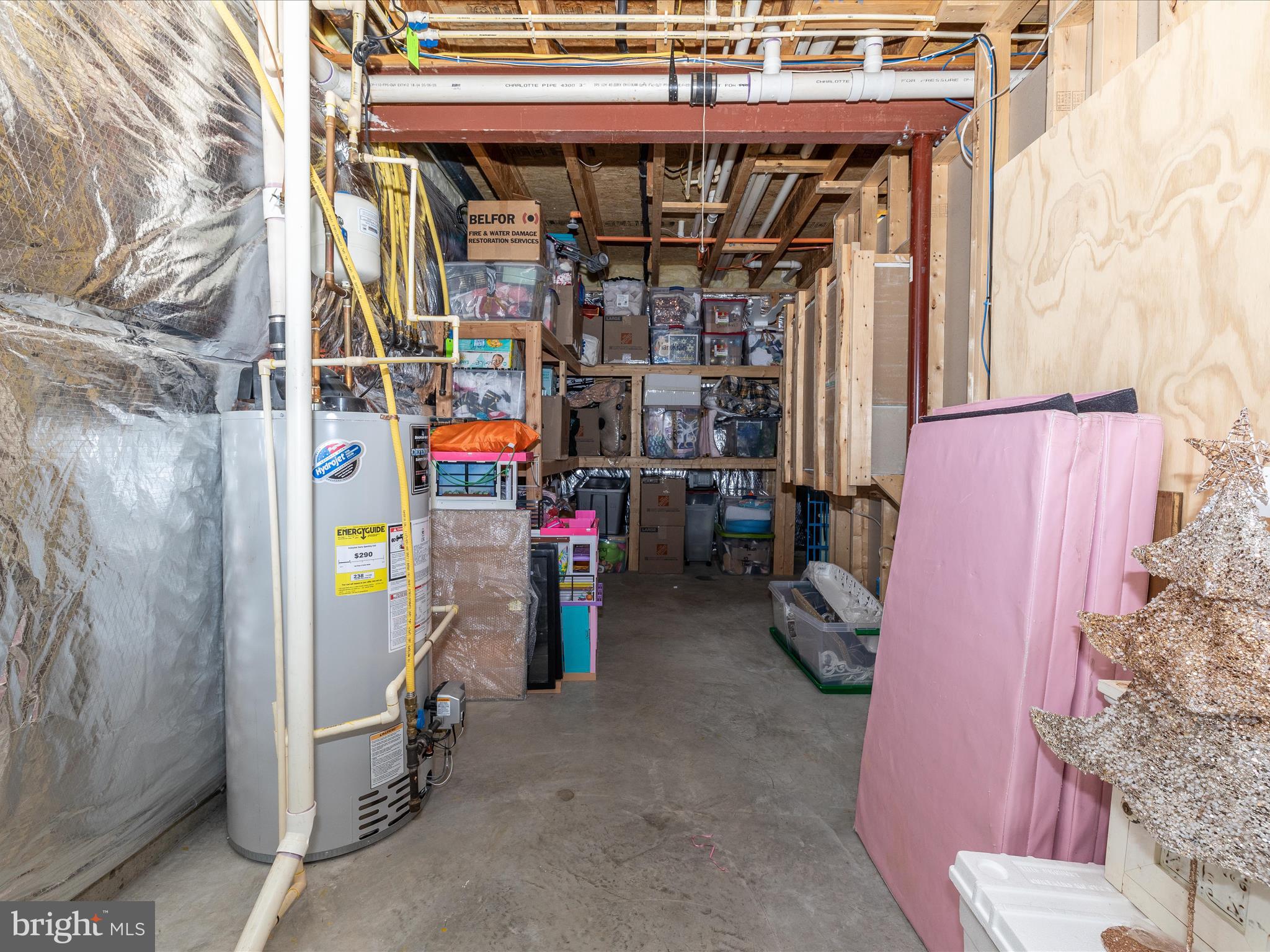 303 Saddleback Trail Mount Airy, MD 21771 - Photo 49 of 65 Storage