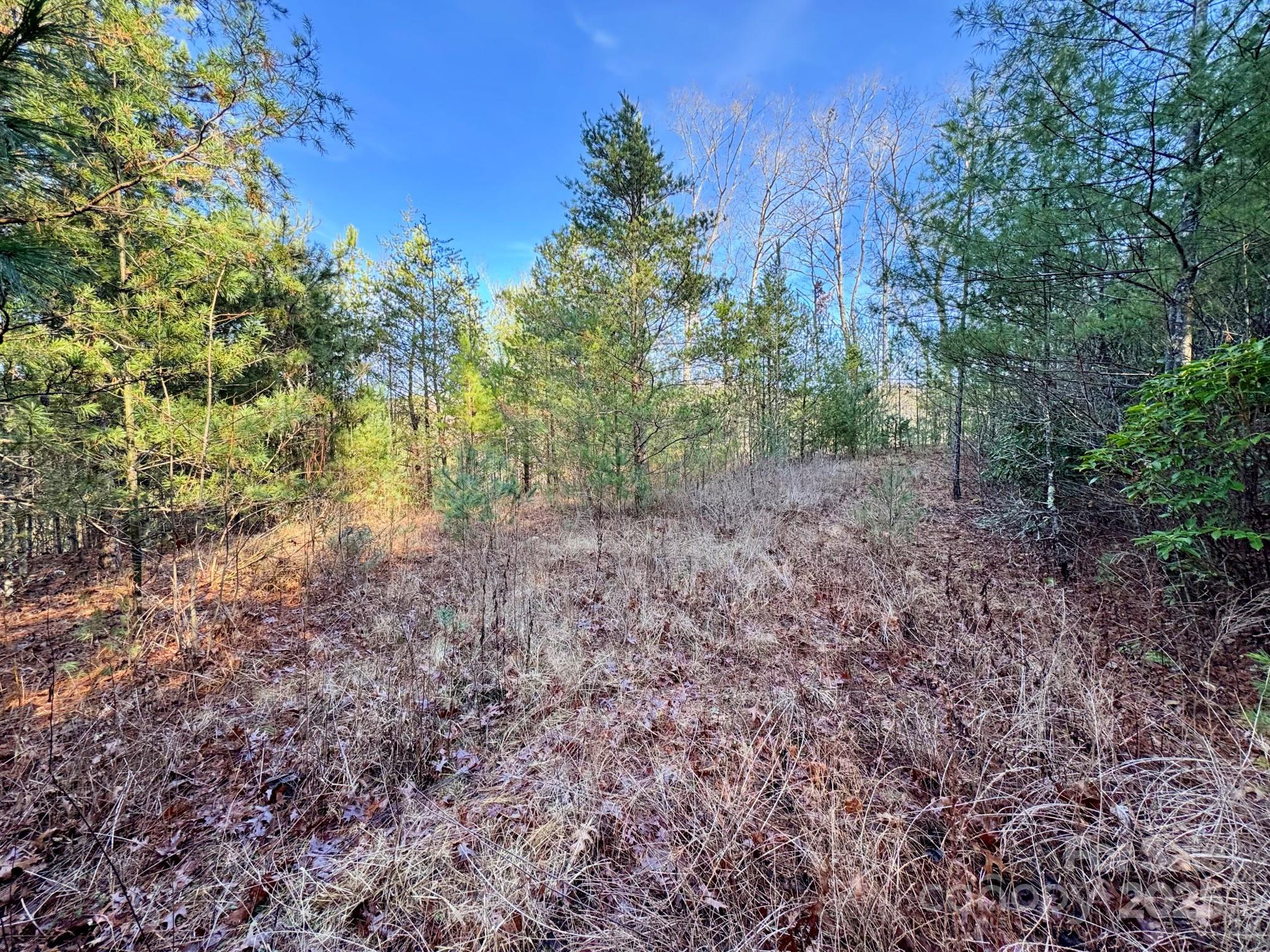 0 Long Branch Road Marble, NC 28905 - Photo 7 of 9