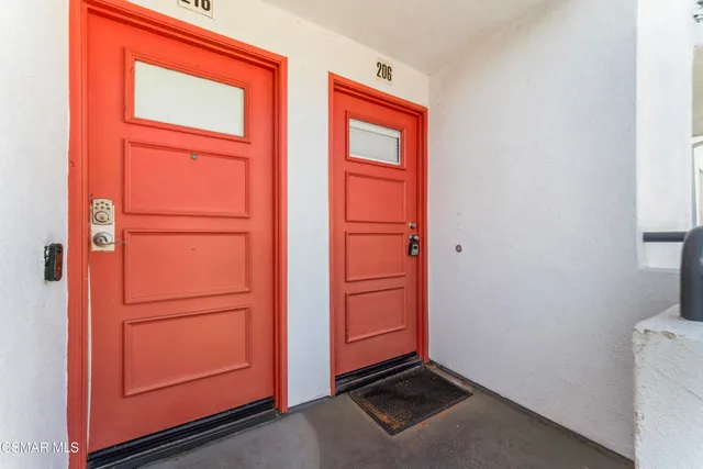 a view of a backyard with plants