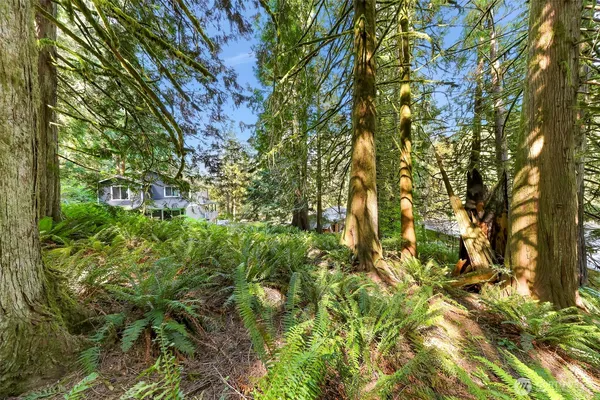 a backyard of a house with lots of trees