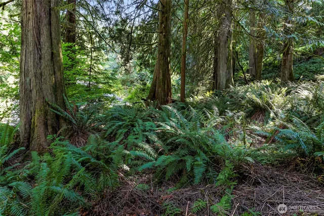 a view of outdoor space and green space