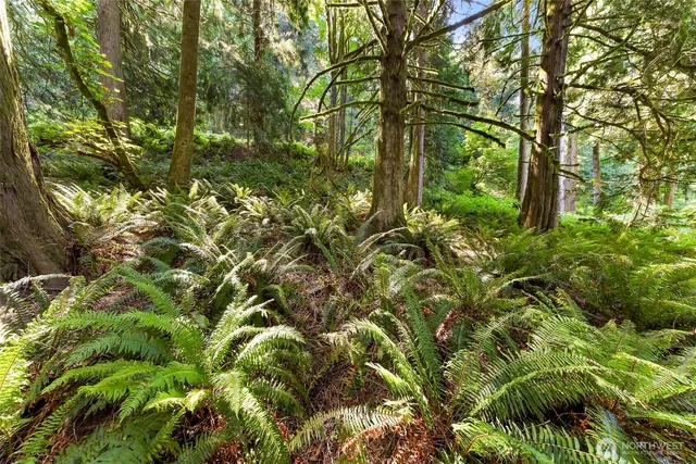 a backyard of a house with lots of swings and that has a tree