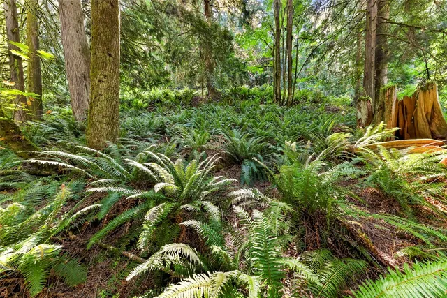 a backyard of a building