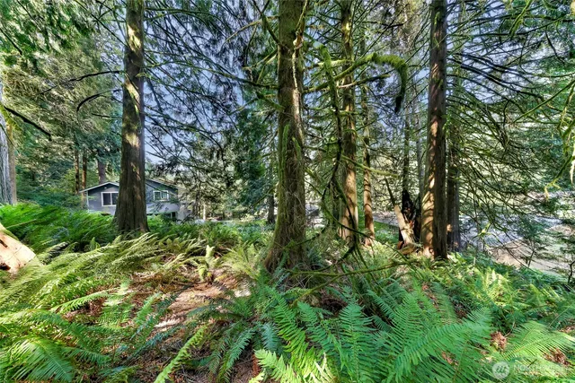 a backyard of a house with lots of swings and slides