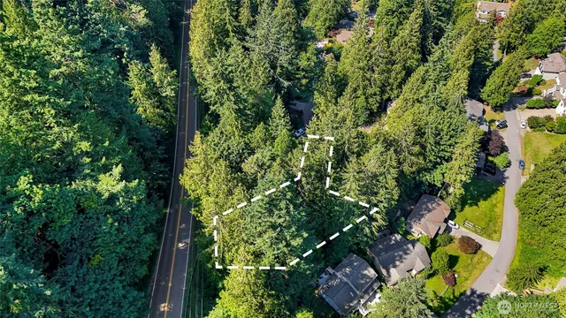 an aerial view of a forest with houses