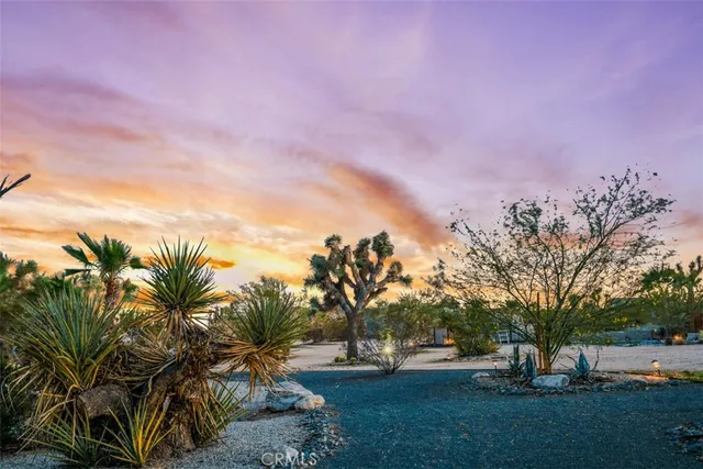 a view of a park with swings and slides