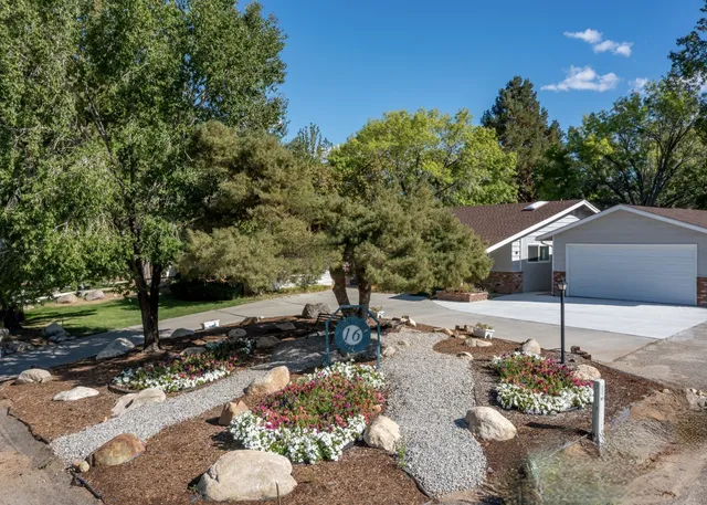 a view of a street with some trees