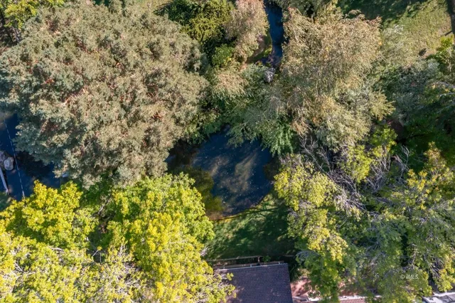 a view of a garden with plants