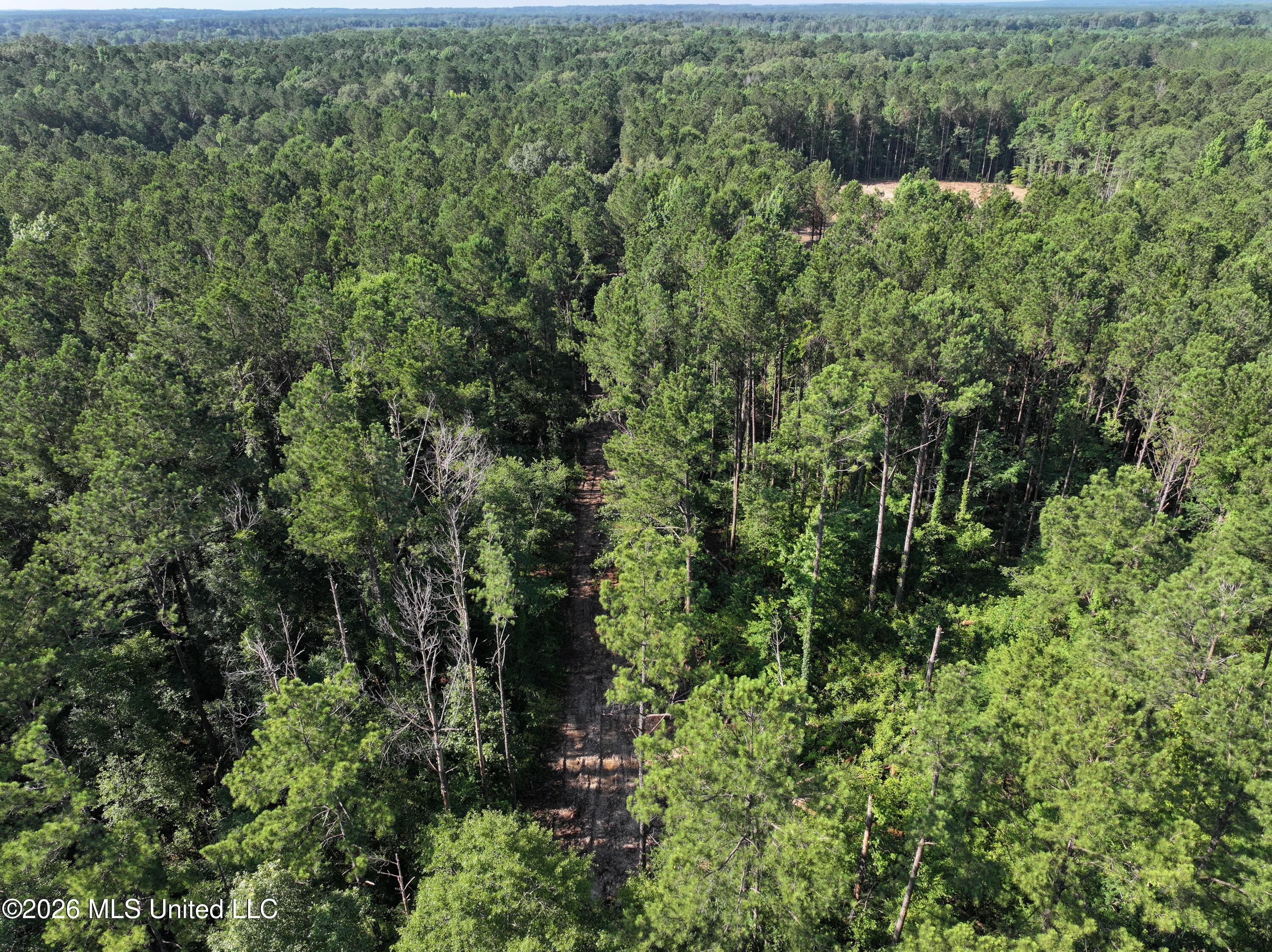J C Prestage Road Pelahatchie, MS 39145 - Photo 13 of 24 975261E2-0969-49BA-9F86-06DCB31D6CE0