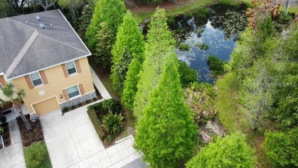 8301 Pine River Road Tampa, FL 33637 - Photo 5 of 16 a view of a house with a yard