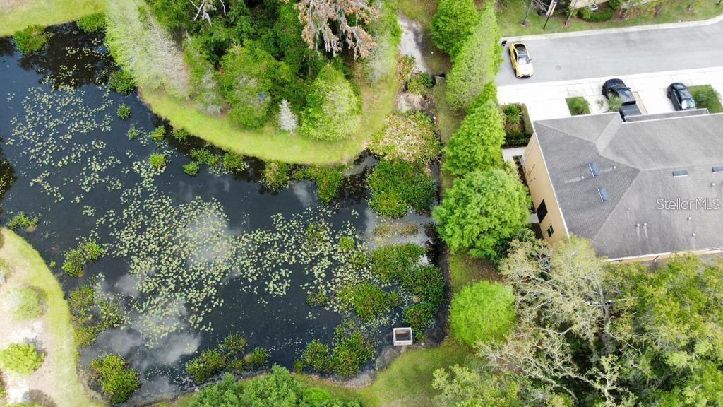 8301 Pine River Road Tampa, FL 33637 - Photo 6 of 16 an aerial view of a house with a yard