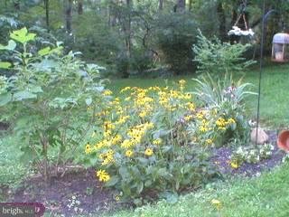 611 Olde Farm Road Media, PA 19063 - Photo 5 of 5