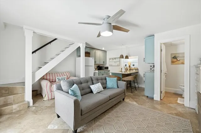 a view of a yard with plants and palm trees