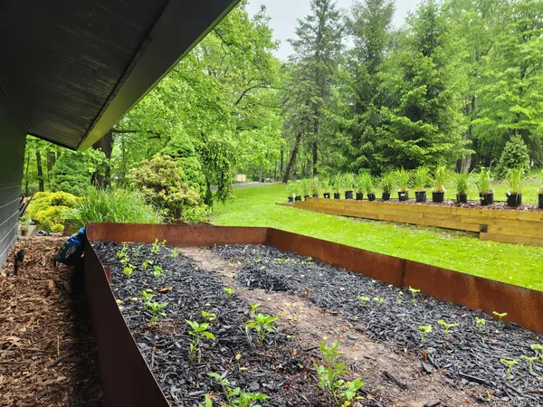 a view of a park with of a large trees