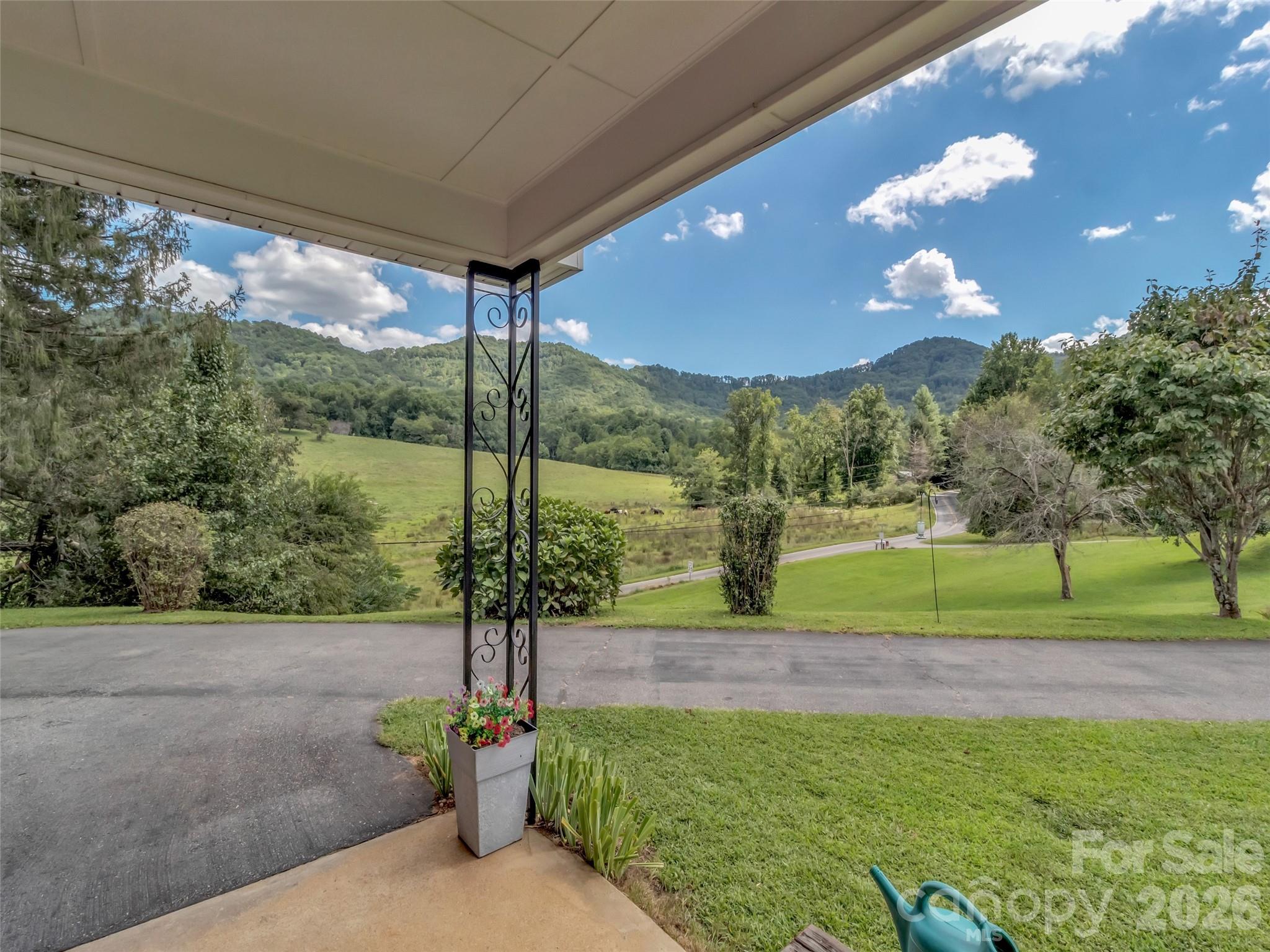 250 Reeves Cove Road Candler, NC 28715 - Photo 32 of 48