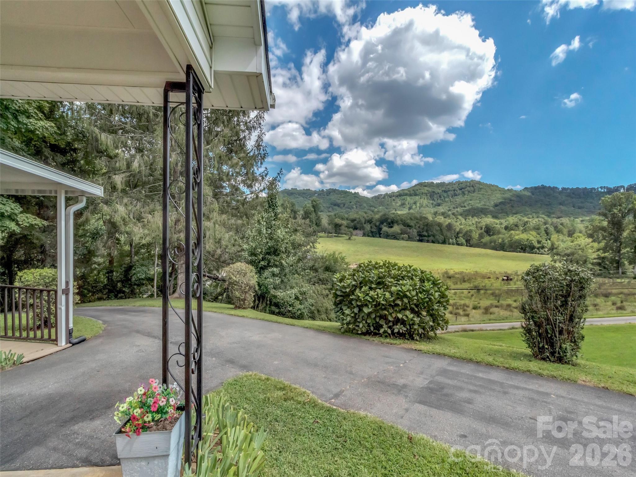 250 Reeves Cove Road Candler, NC 28715 - Photo 4 of 48