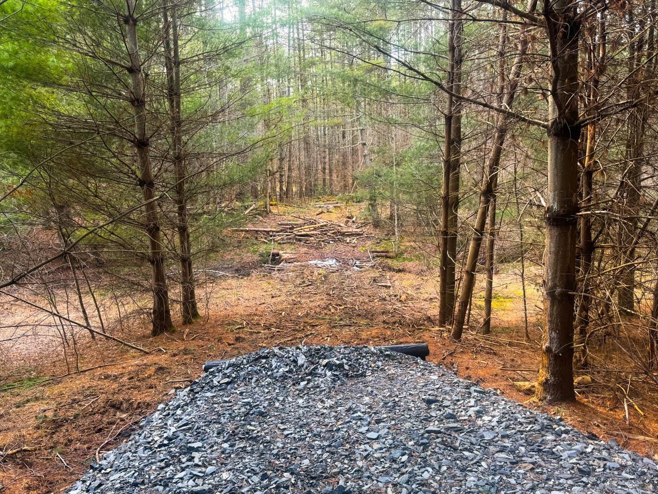 0 North Road Waitsfield, VT 05673 - Photo 19 of 40