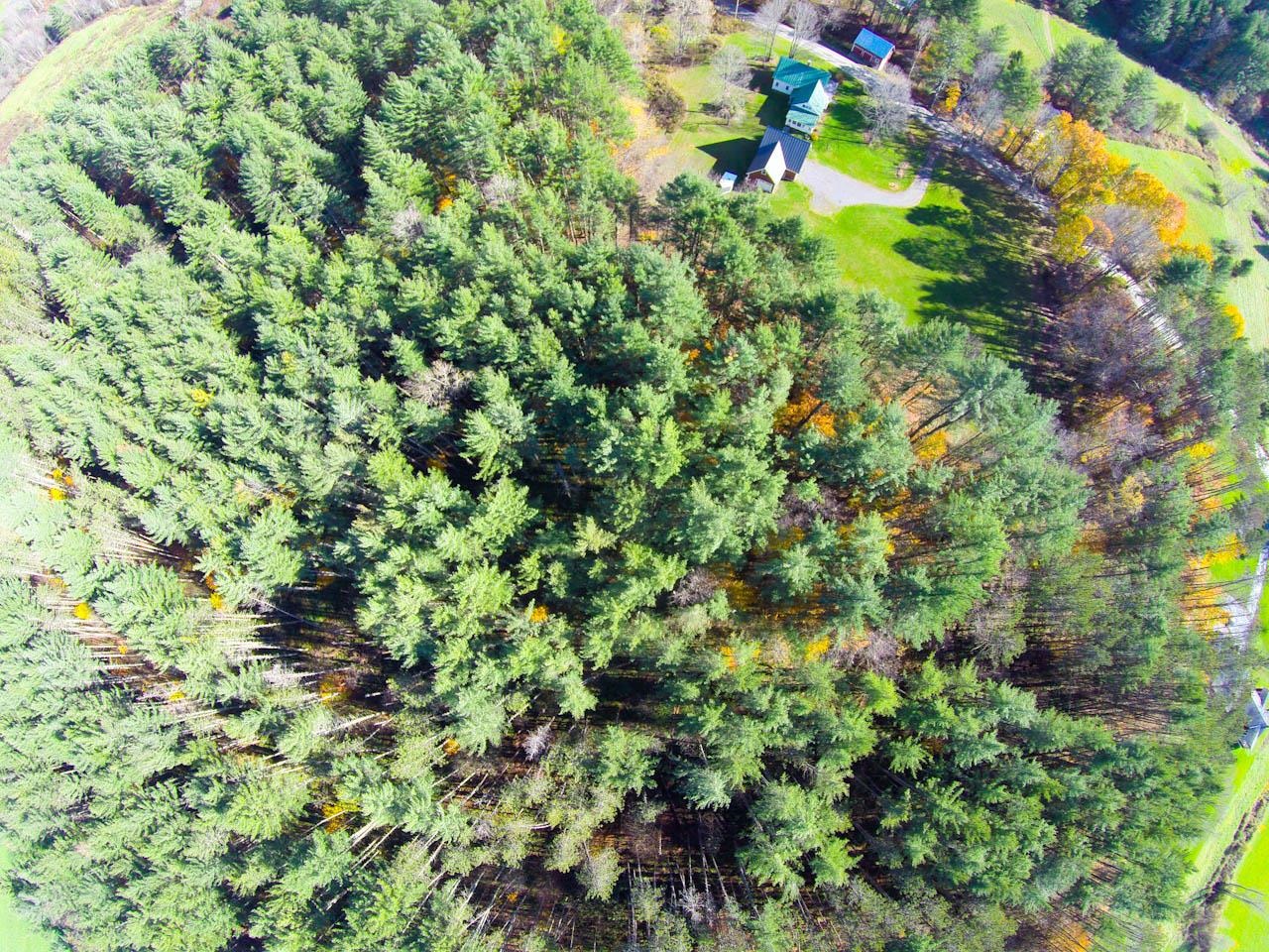 0 North Road Waitsfield, VT 05673 - Photo 33 of 40