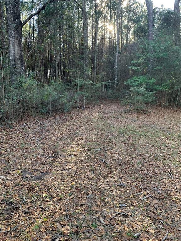 5978 Perryman Lane Osyka, MS 39657 - Photo 6 of 23
