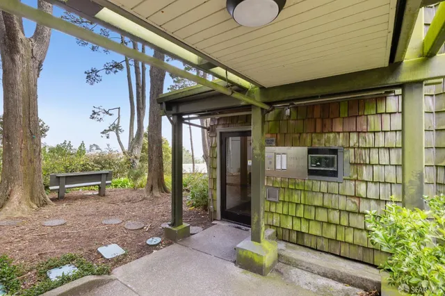 a view of a garden with plants