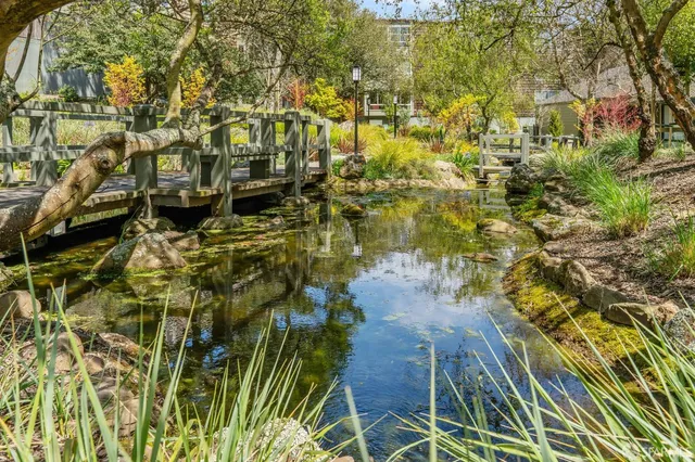 an outdoor view of house with swimming pool