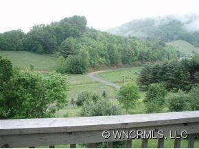 435 Burnette Reeves Road Leicester, NC 28748 - Photo 11 of 12