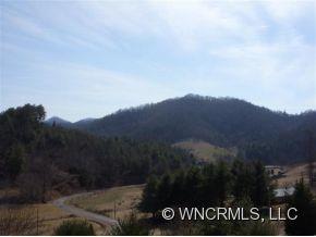 435 Burnette Reeves Road Leicester, NC 28748 - Photo 12 of 12