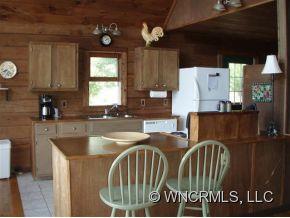 435 Burnette Reeves Road Leicester, NC 28748 - Photo 3 of 12
