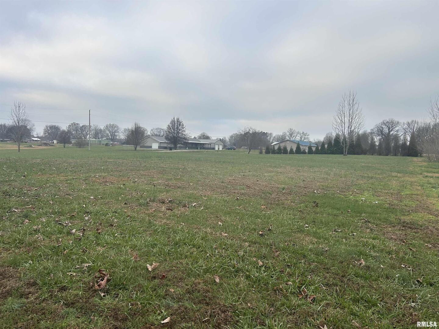 Lot 13 Krystal Lane Metropolis, IL 62960 - Photo 2 of 4