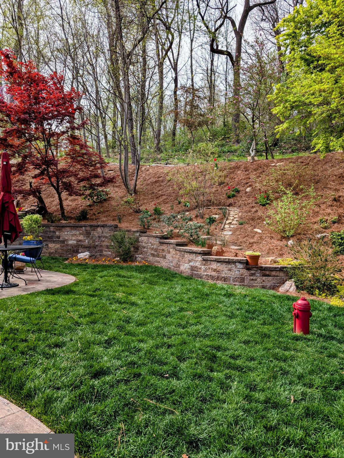 5495 Deer Path Lane Gap, PA 17527 - Photo 6 of 38 a backyard of a house with lots of green space