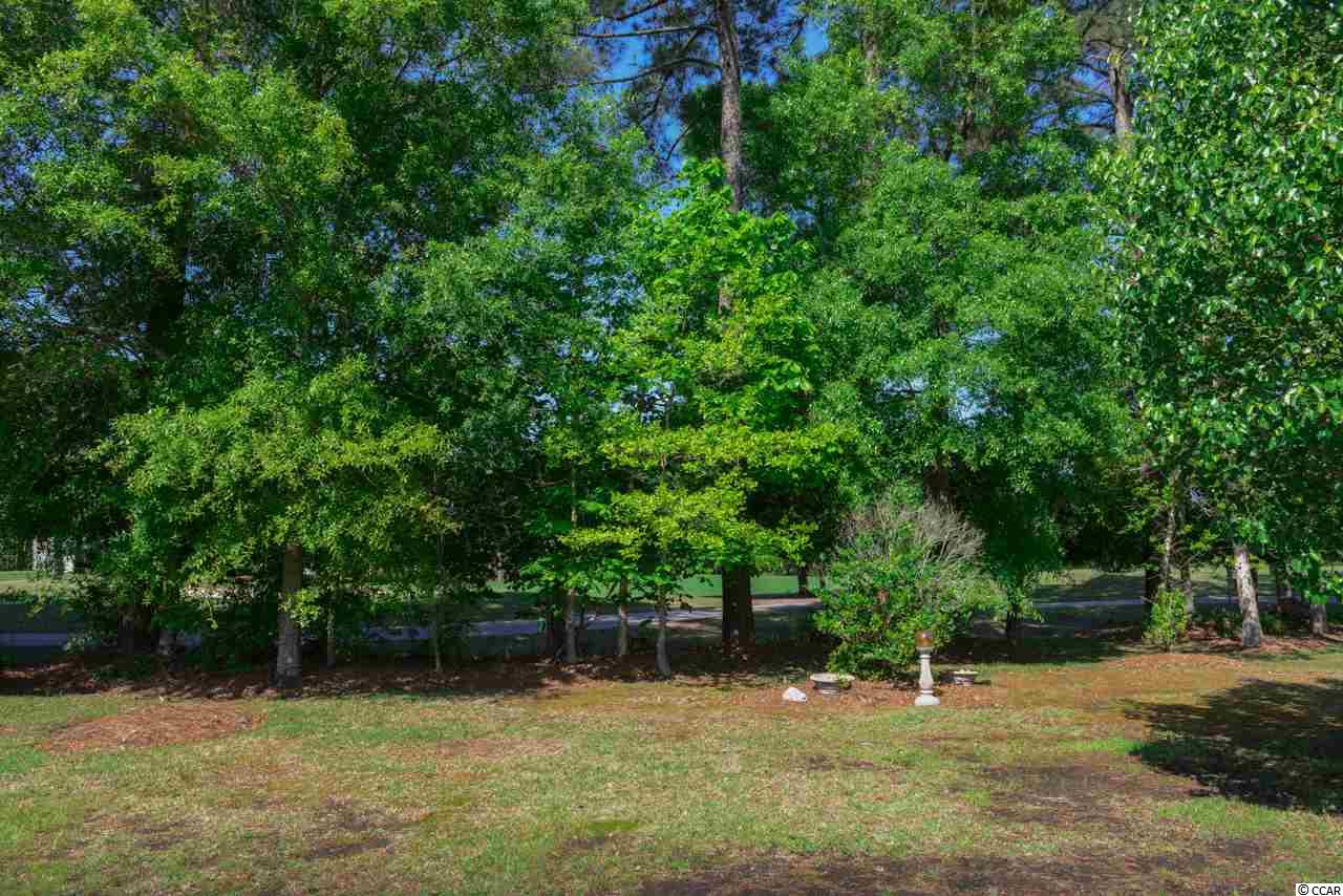 1443 Winged Foot Drive Murrells Inlet, SC 29576 - Photo 21 of 25 Gallery Image 21