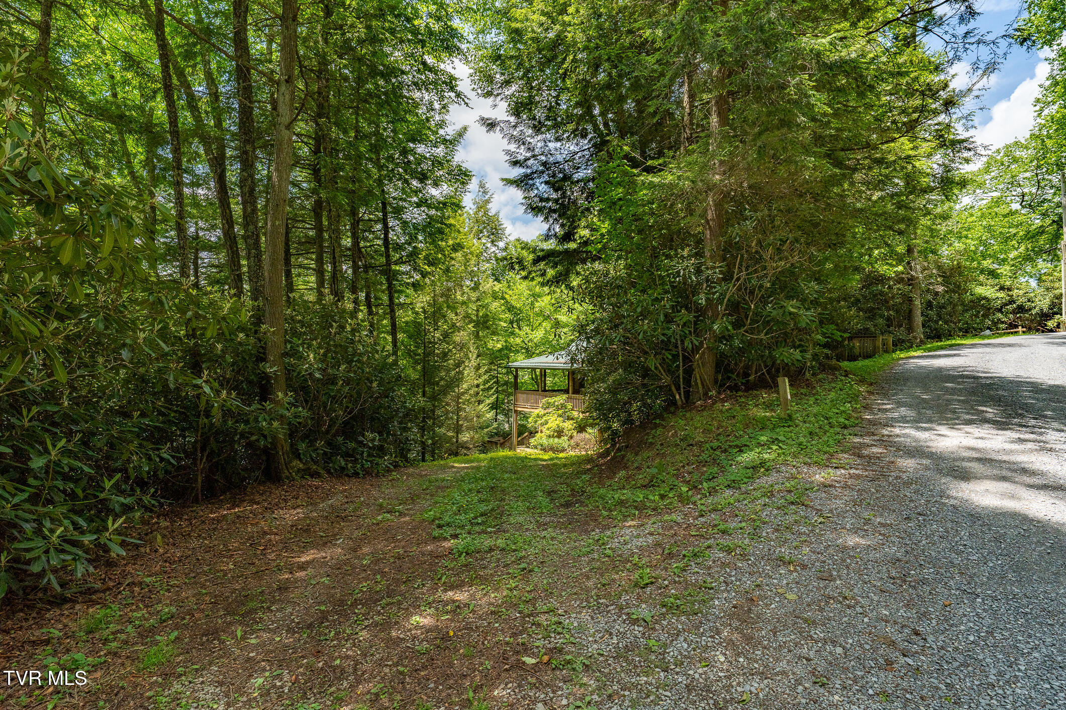 206 Ripshin Lake Road Roan Mountain, TN 37687 - Photo 62 of 76 206 Ripshin Lake Road (28 of 101)