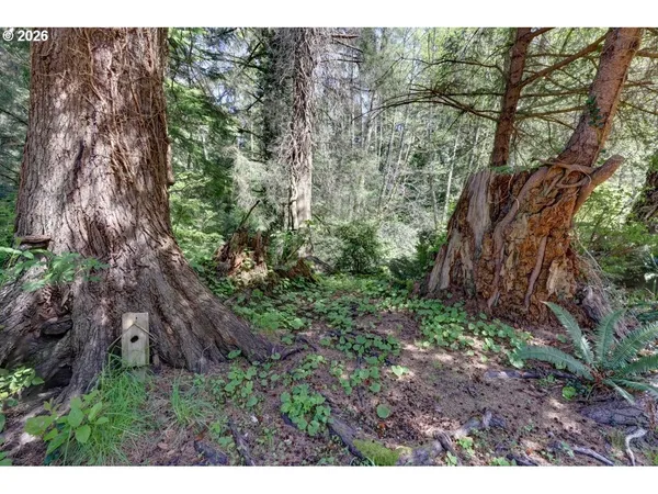 $737,000 | 9320 Nehalem Road, Nehalem, OR 97131
