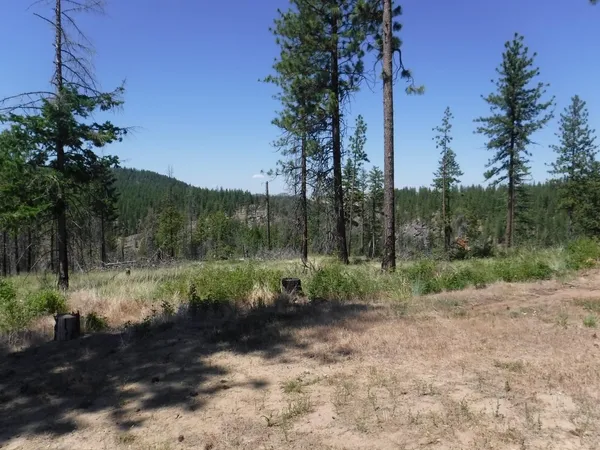 $165,000 | 6066 Turk Road, Fruitland, WA 99129