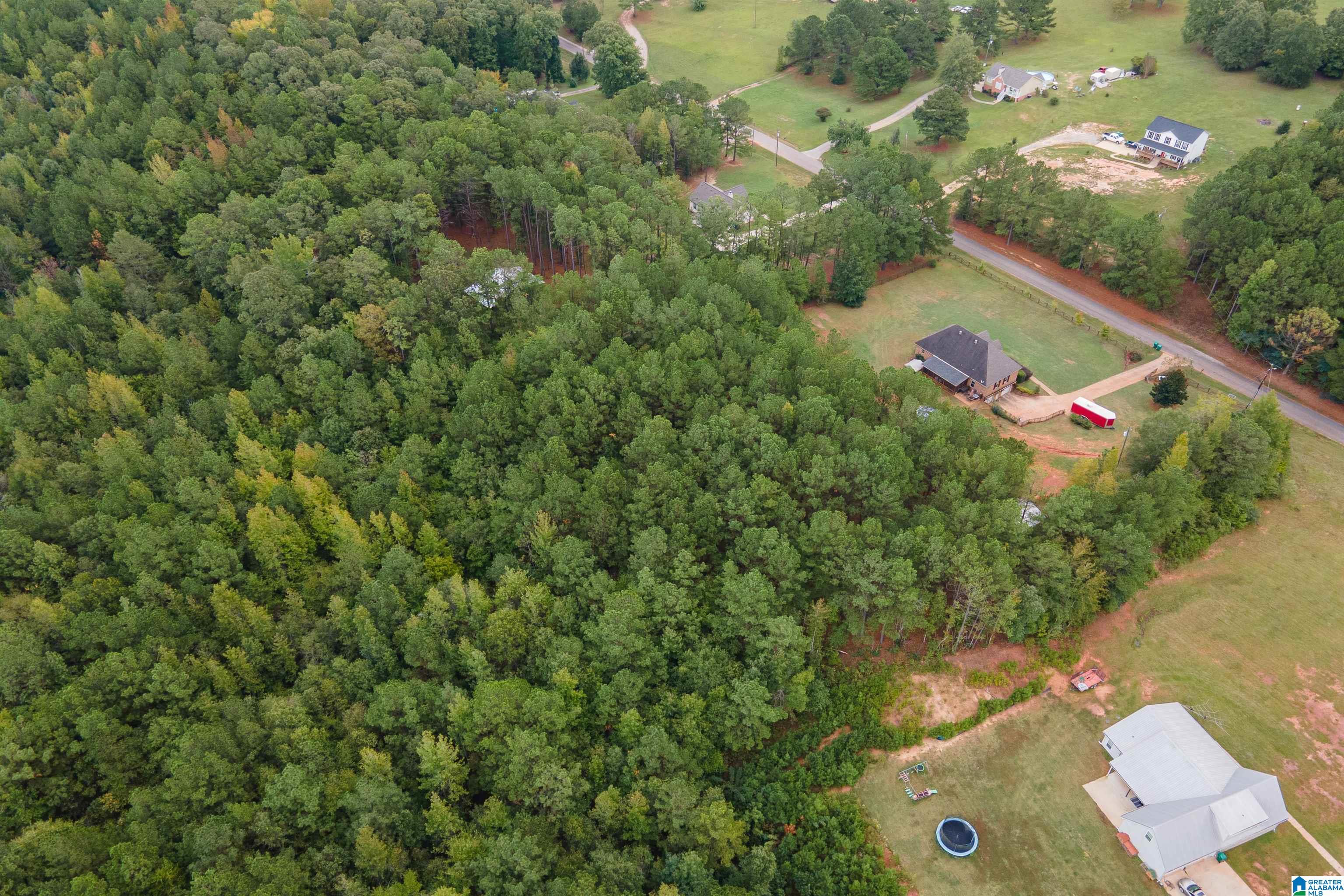 20534 Cathedral Lane McCalla, AL 35111 - Photo 46 of 51
