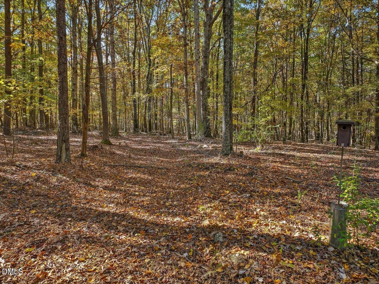 1838 Alex Cockman Road Pittsboro, NC 27312 - Photo 48 of 53 a view of outdoor space with deck and tree