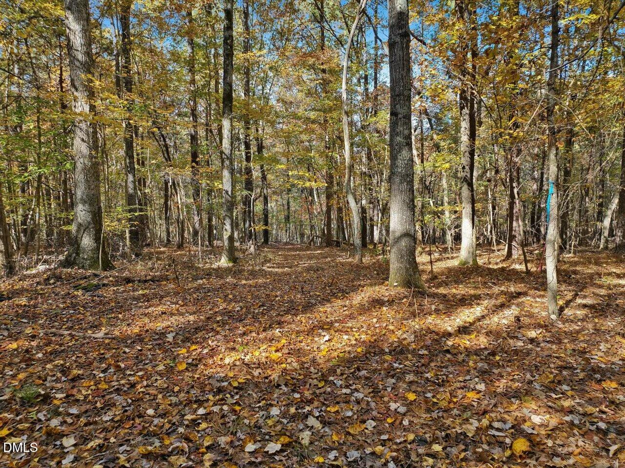 1838 Alex Cockman Road Pittsboro, NC 27312 - Photo 49 of 53 a view of yard