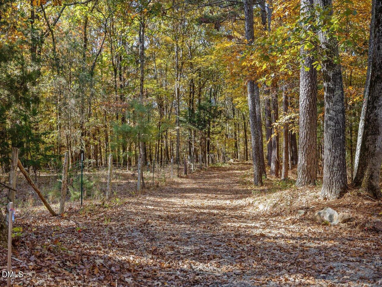 1838 Alex Cockman Road Pittsboro, NC 27312 - Photo 50 of 53 a view of a yard with trees