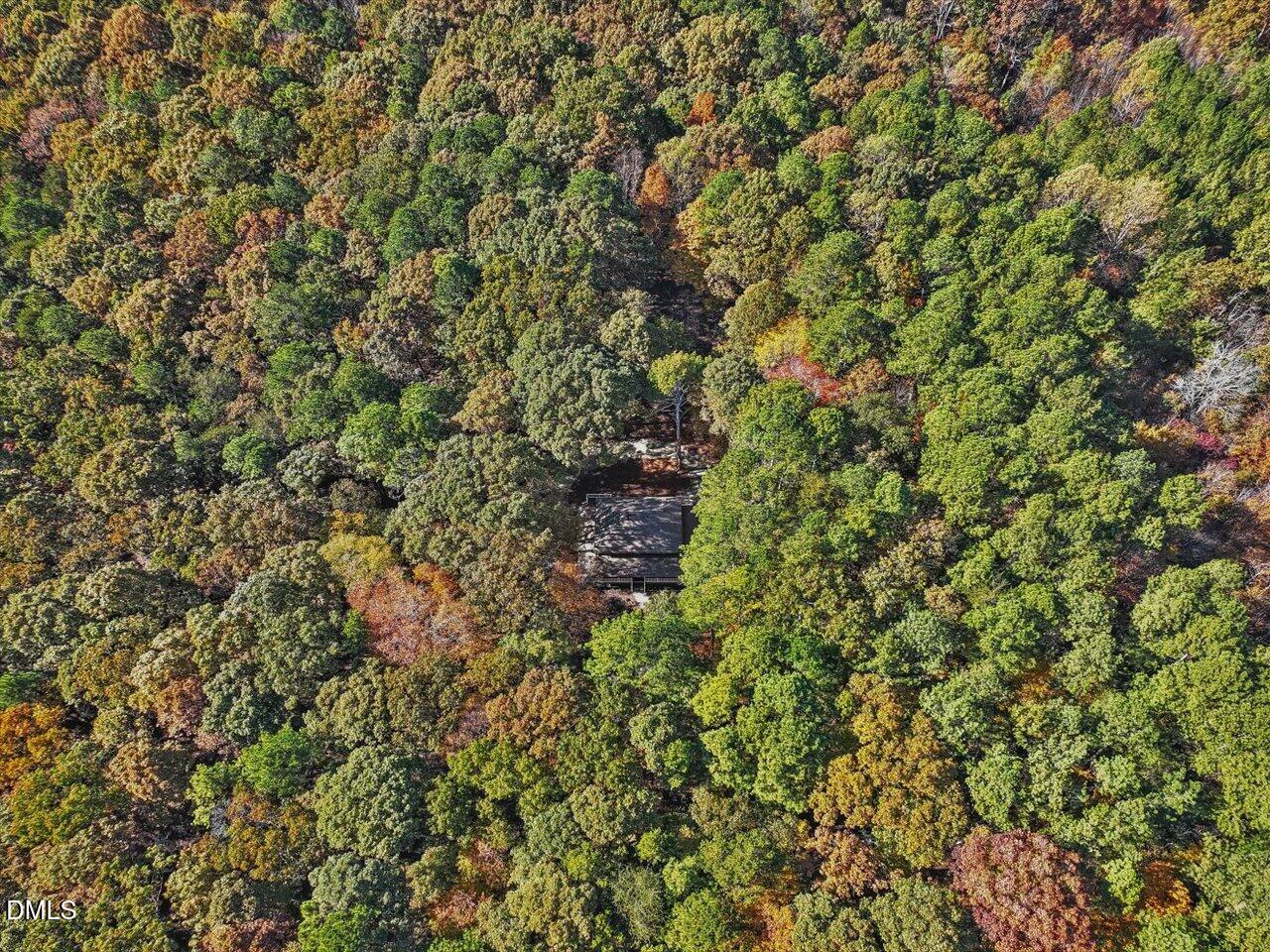 1838 Alex Cockman Road Pittsboro, NC 27312 - Photo 51 of 53 a view of a tree