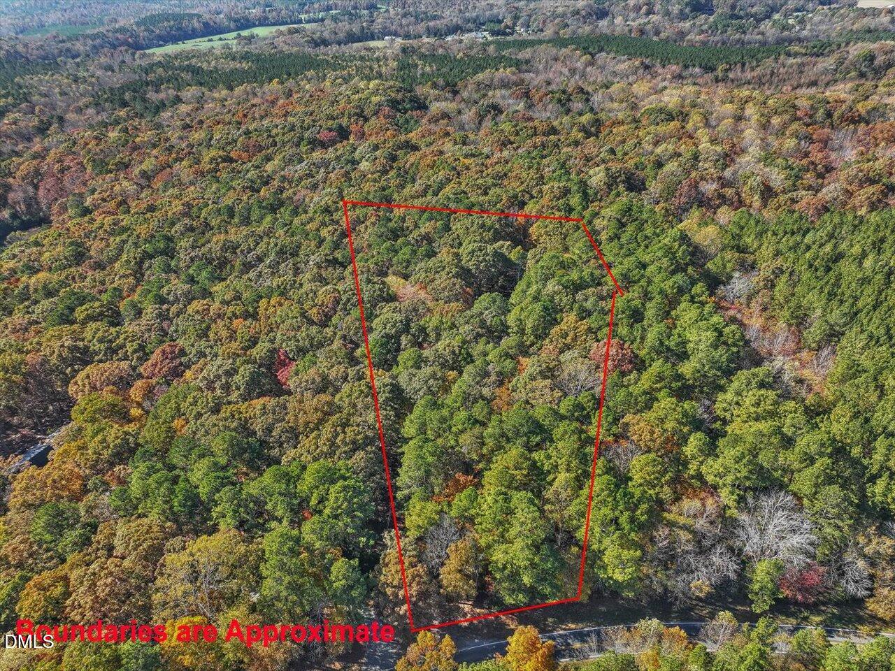 1838 Alex Cockman Road Pittsboro, NC 27312 - Photo 53 of 53 a view of a bunch of flowers and trees