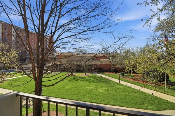 a view of yard with green space